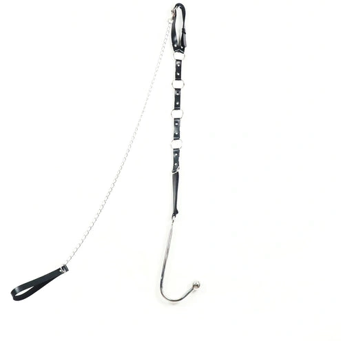 Kinky Hook and Collar with Leash Anal EverydayUse 5853 0402